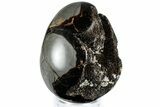 Septarian Dragon Egg Geode - Sparkly Black Crystals #308802-2